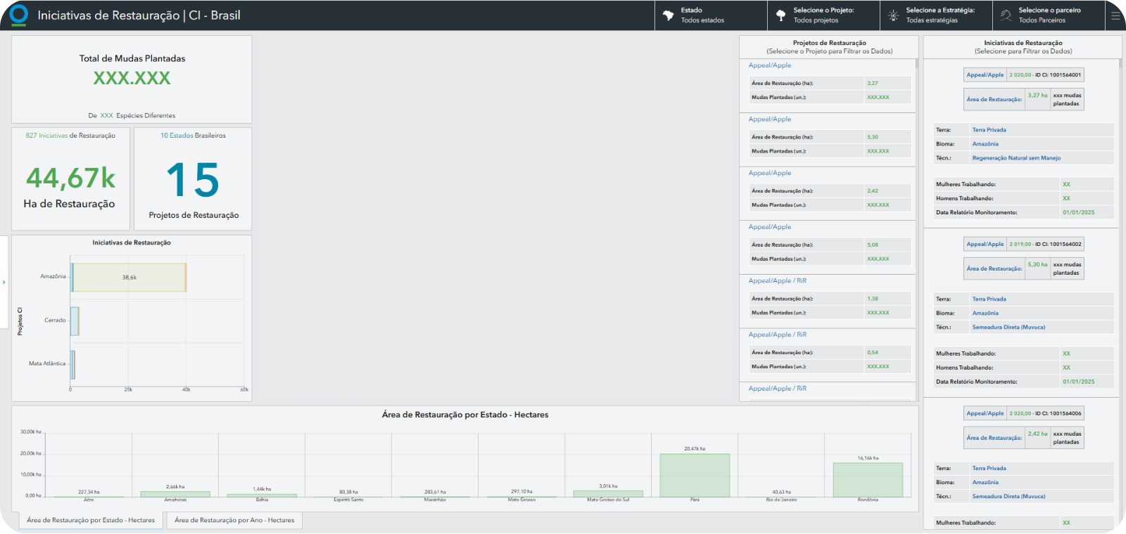 Dashboard Iniciativas